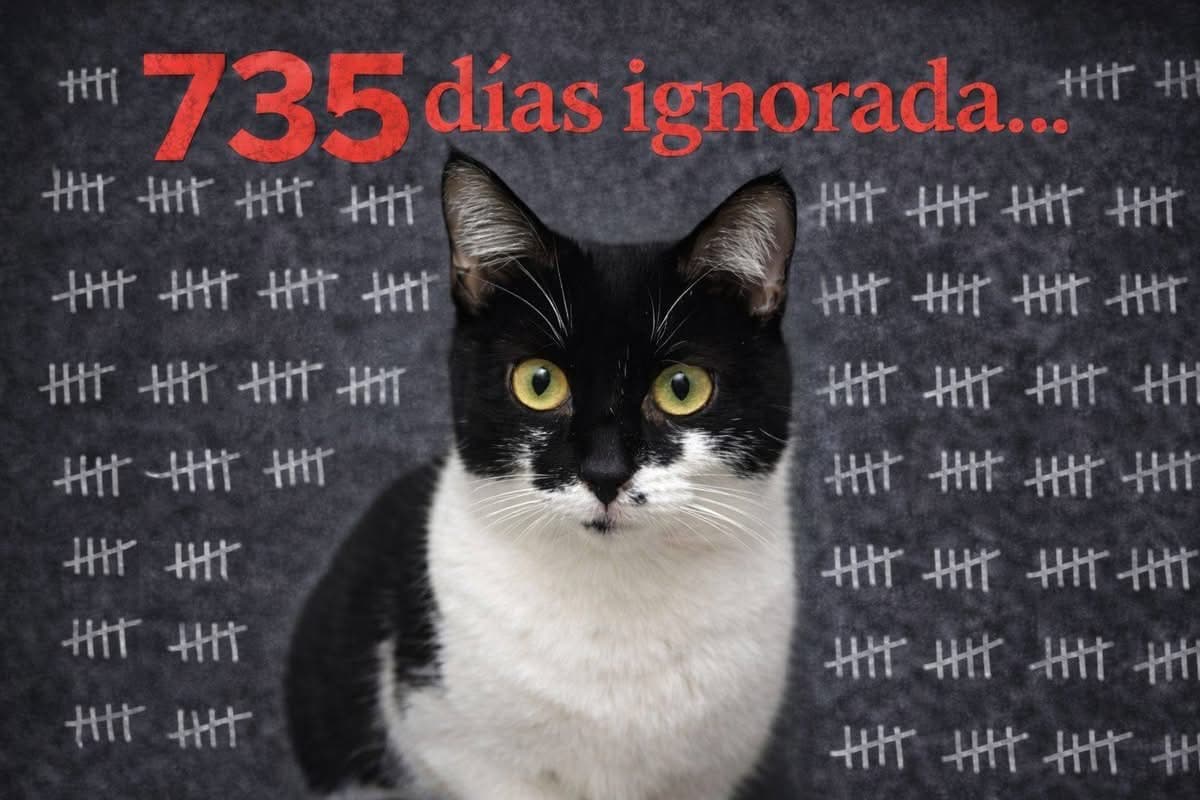 Marilyns Warten: 735 Tage ohne ein Zuhause