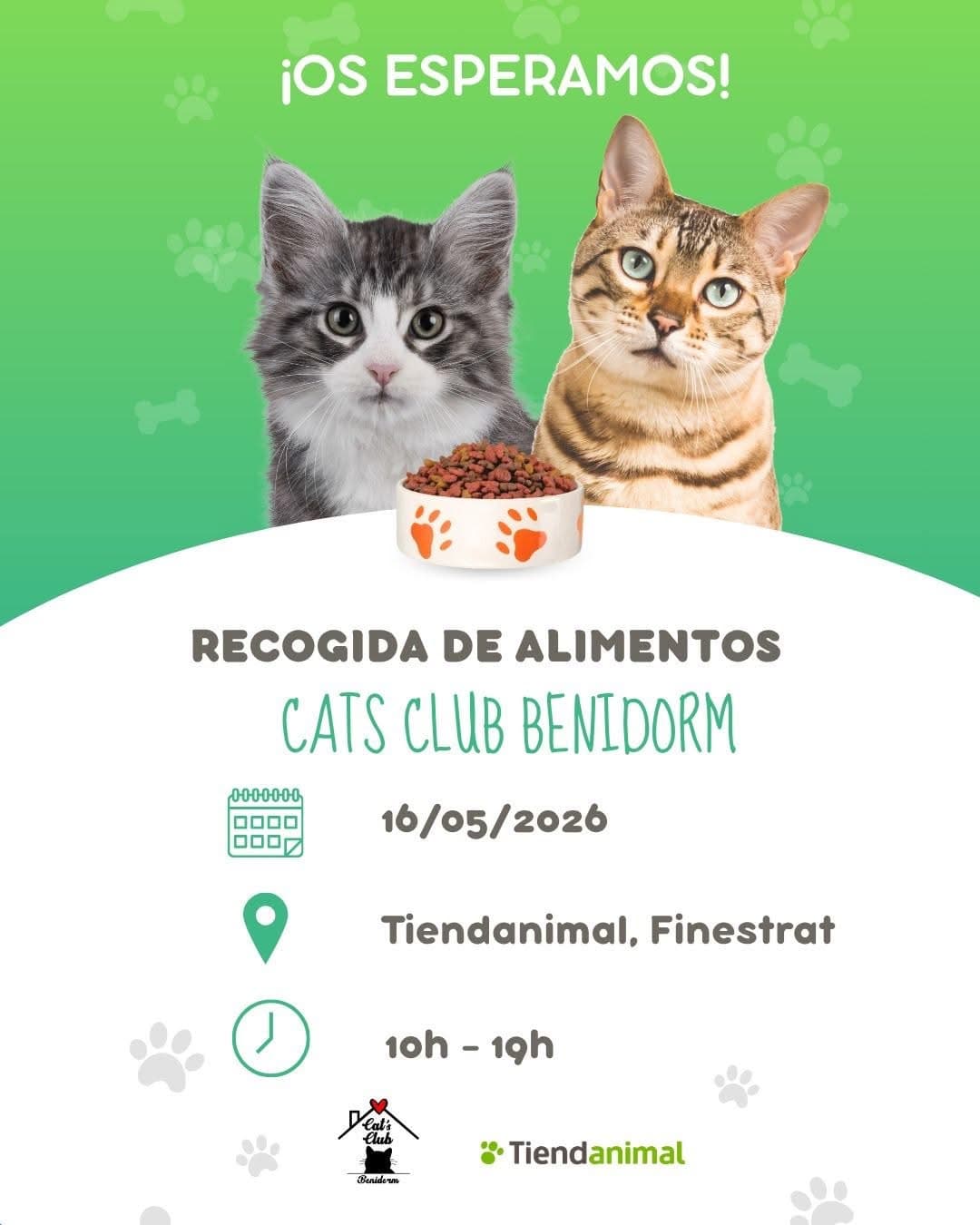 🐾 Jornada Solidaria en Tiendanimal Finestrat para Nuestros Gatitos