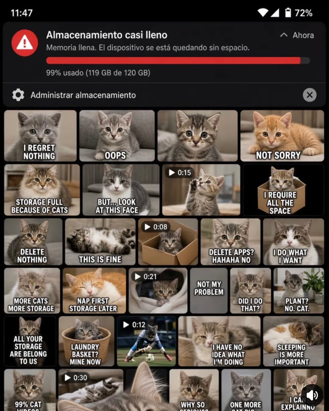 🐱 ¡Ayúdanos a vaciar el móvil y llenar hogares de amor! ❤️