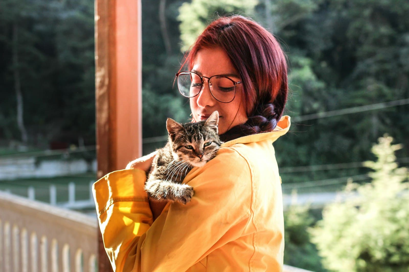 How to adopt a cat in Benidorm with Cat's Club Benidorm