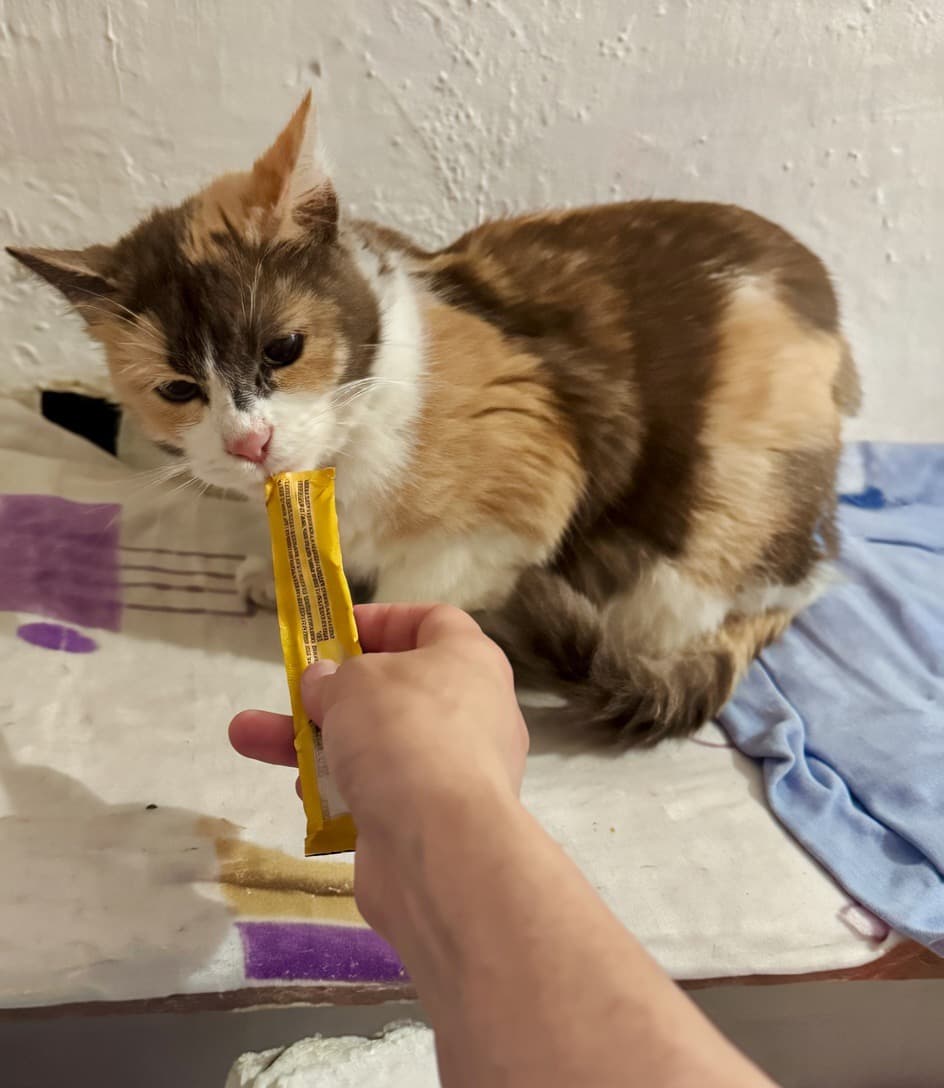 Musas zweite Chance: von der Straße zu einer sicheren Genesung