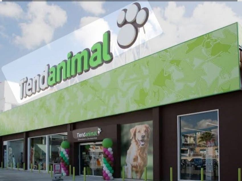 Cats Club Benidorm is waiting for you at Tiendanimal Finestrat!