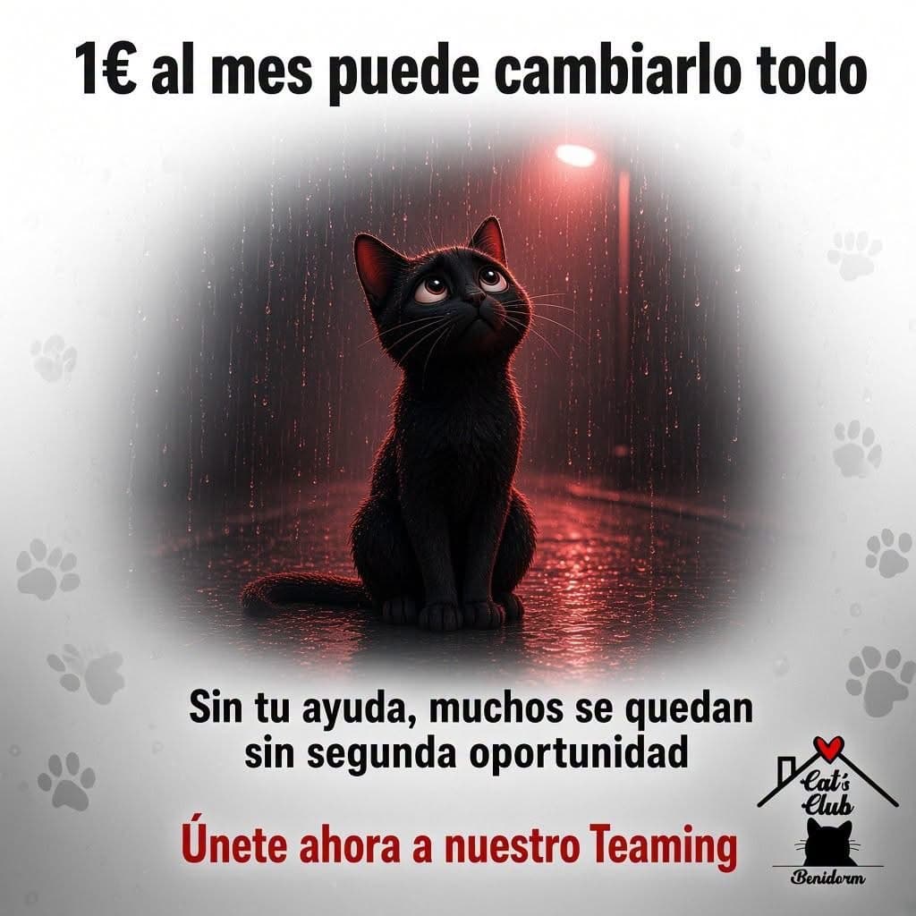 ❤️ ¿Qué puede cambiar 1 € al mes? Muchísimo. 🐾